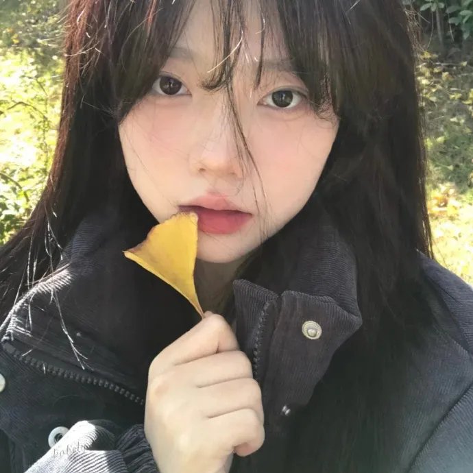 苦茶香